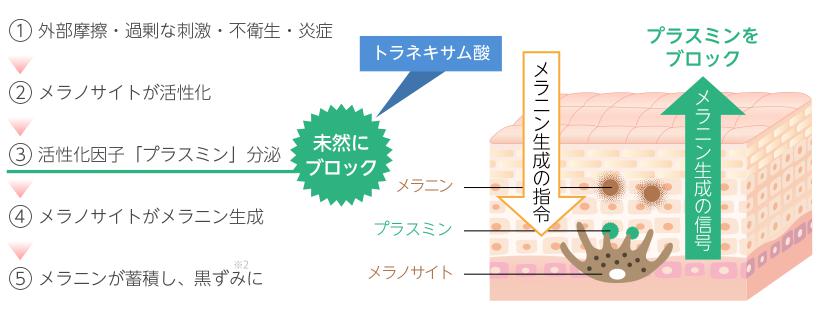 SweepWhite(スウィープホワイト) トラネキサム酸