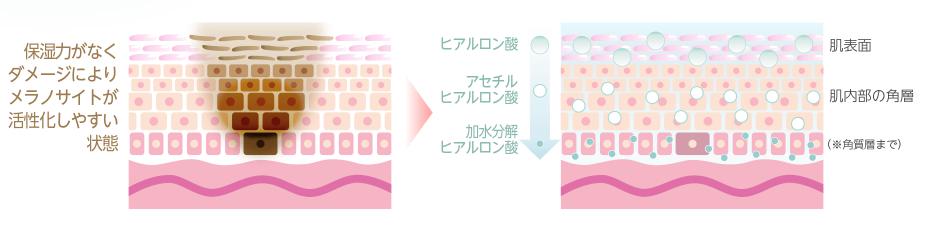 SweepWhite(スウィープホワイト) 保湿効果